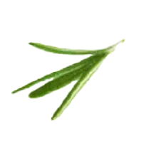Peskadeta