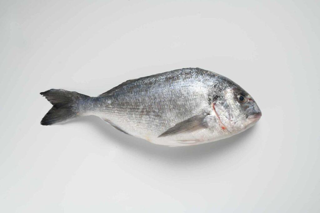 dorada